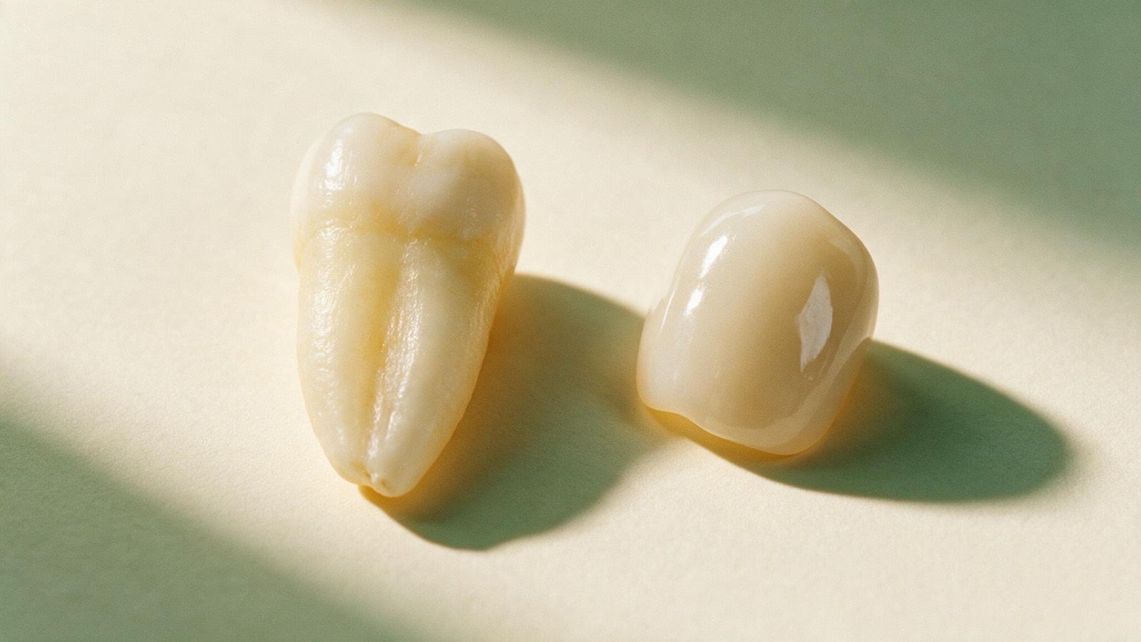 Sobre papel claro, à esquerda um dente natural com a raiz inteira; à direita, uma coroa cerâmica isolada, sem raiz.