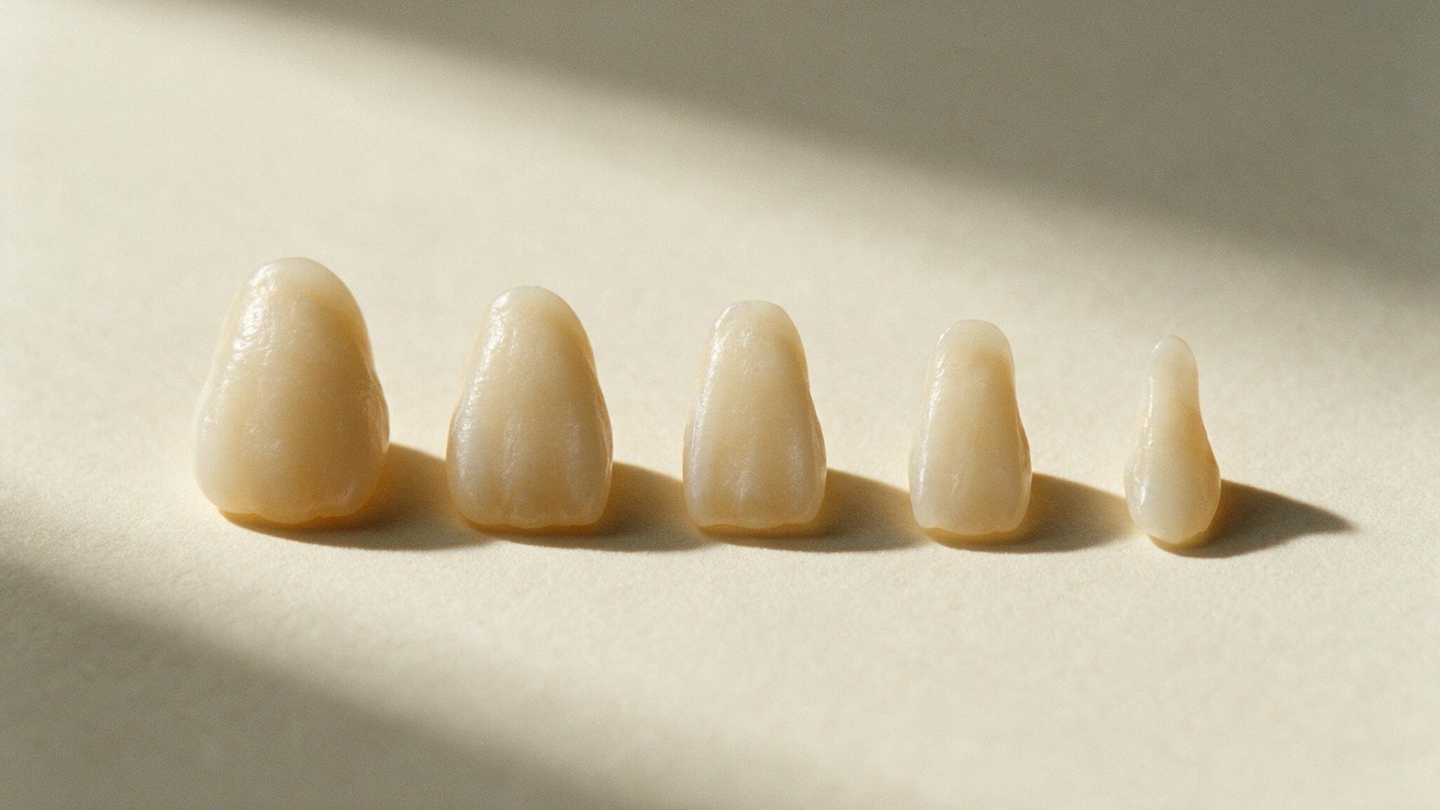 Cinco dentes lado a lado sobre papel claro, do mais íntegro à esquerda ao mais reduzido à direita, formando uma progressão.