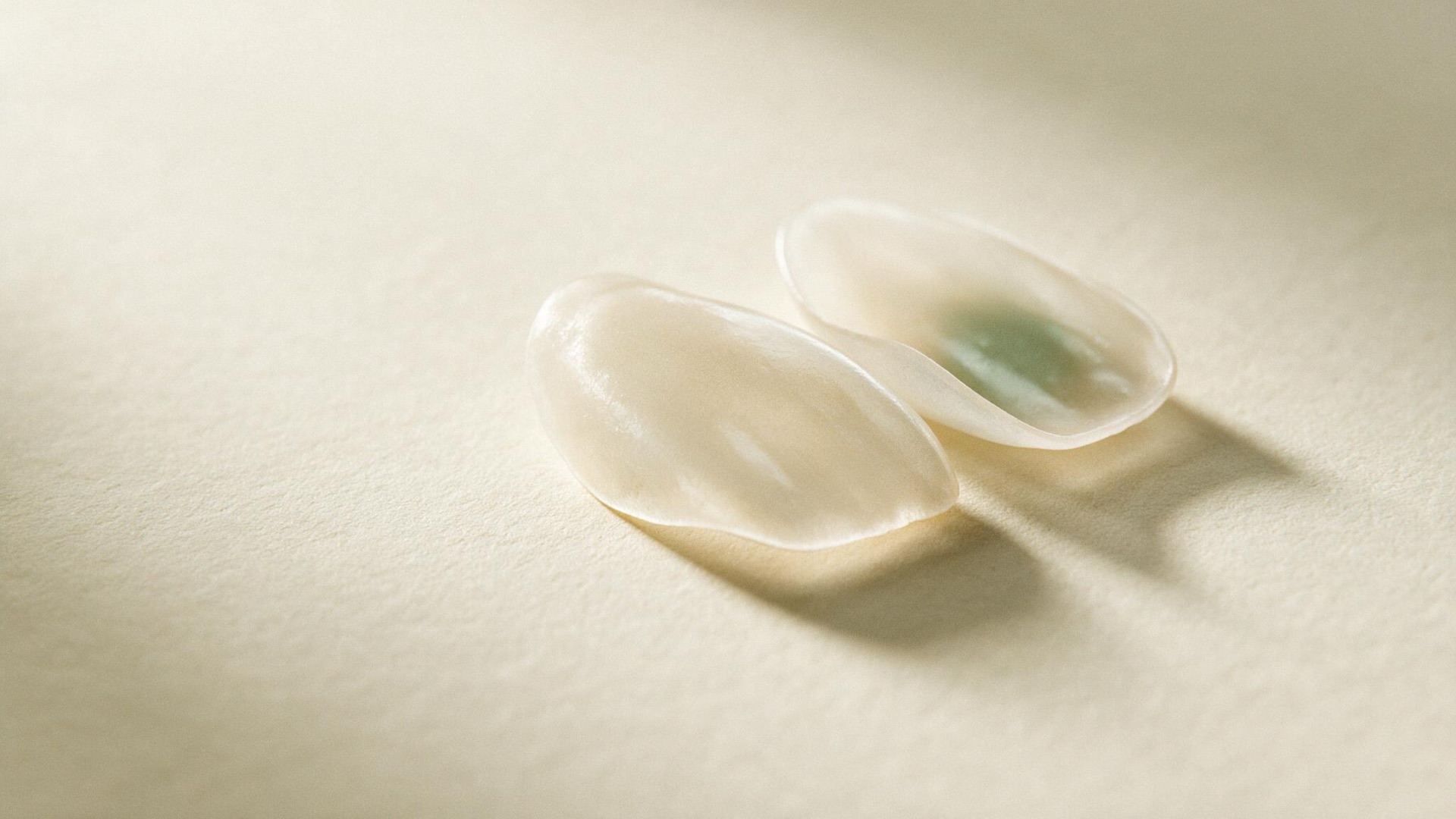 Duas lâminas finas de porcelana sobre papel claro.